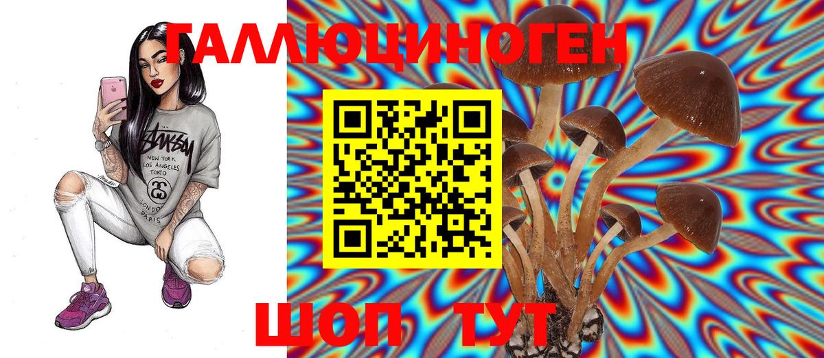 Псилоцибиновые грибы Cubensis Казань